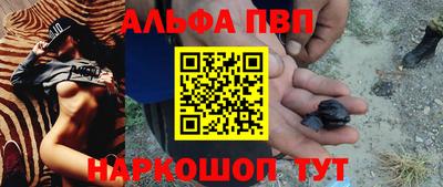 индика Гусев
