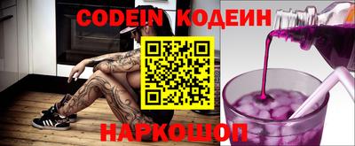 индика Гусев