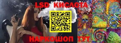 индика Гусев