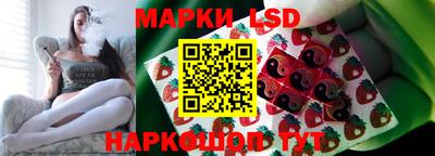 индика Гусев
