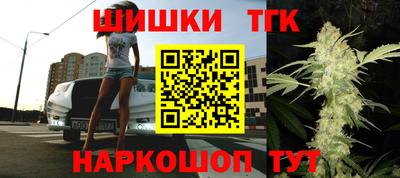 индика Гусев