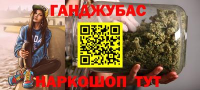 индика Гусев