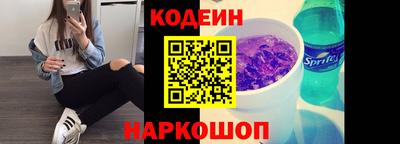 индика Гусев