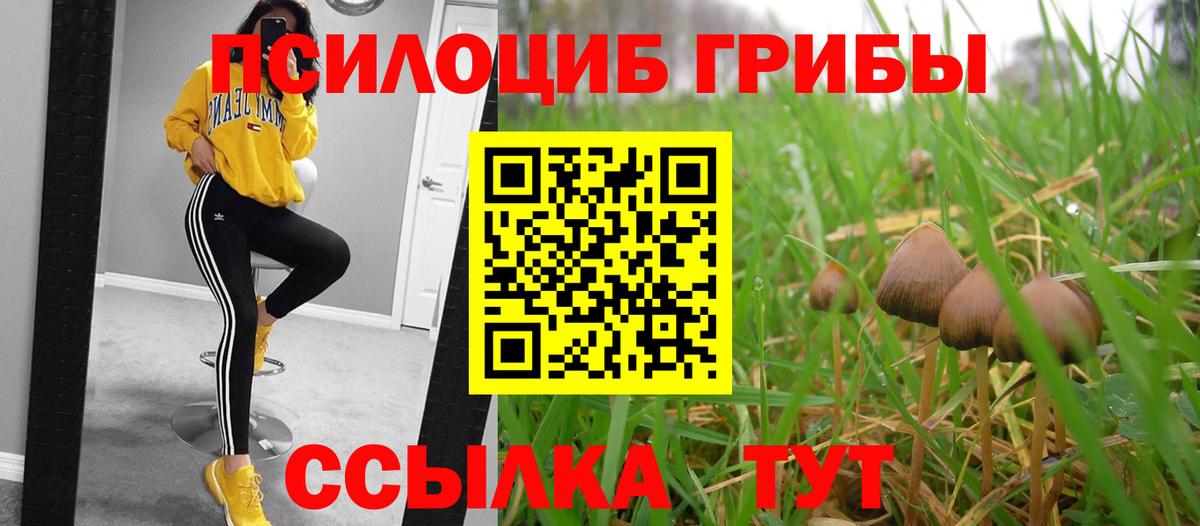 Псилоцибиновые грибы ЛСД  Галлюциногенные грибы ЛСД  Избербаш  Вход с VPN 