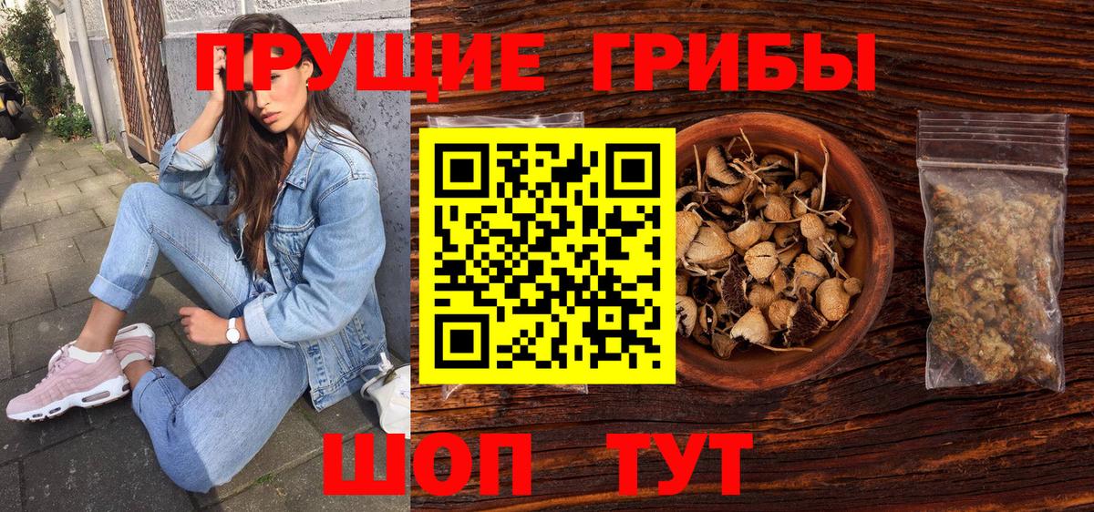 Псилоцибиновые грибы Cubensis Избербаш